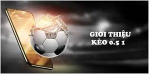 kèo 0.5/1